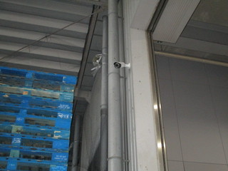 IMG_9009[1].JPGのサムネール画像